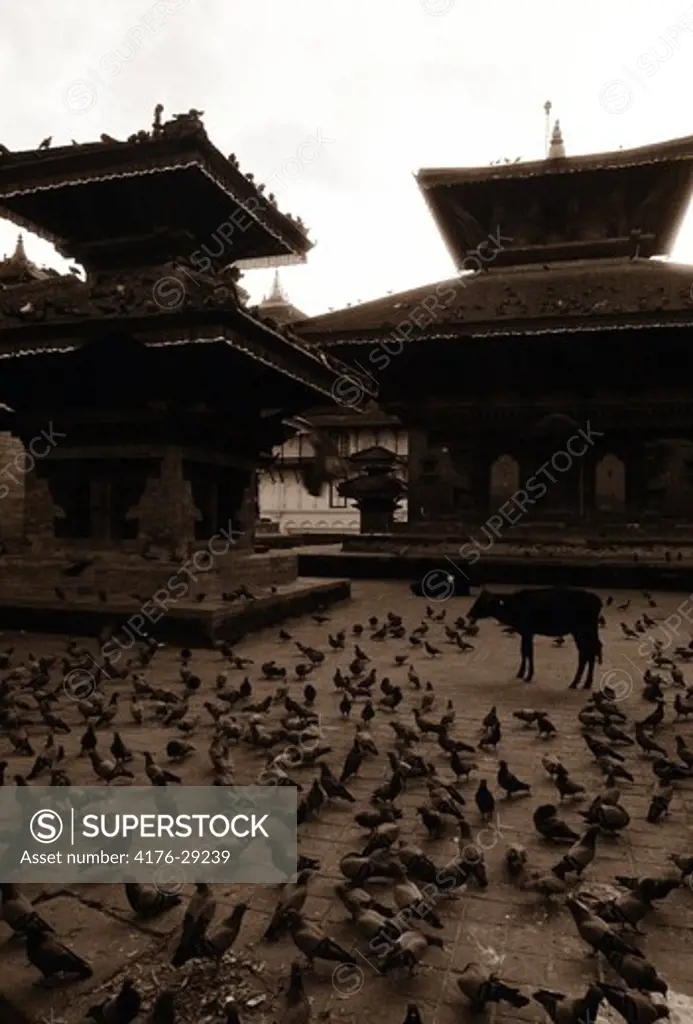 Durbar square, Kathmandu, Nepal