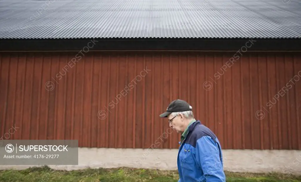 A peasant, Sweden