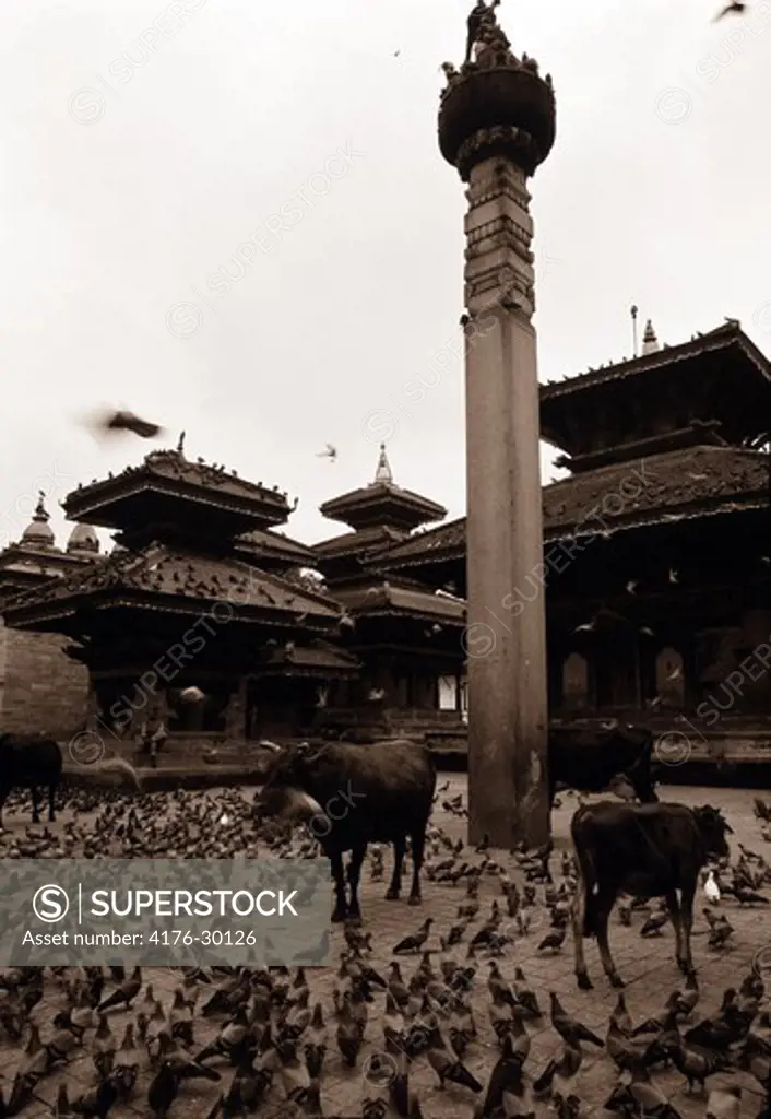 Durbar square Kathmandu, Nepal