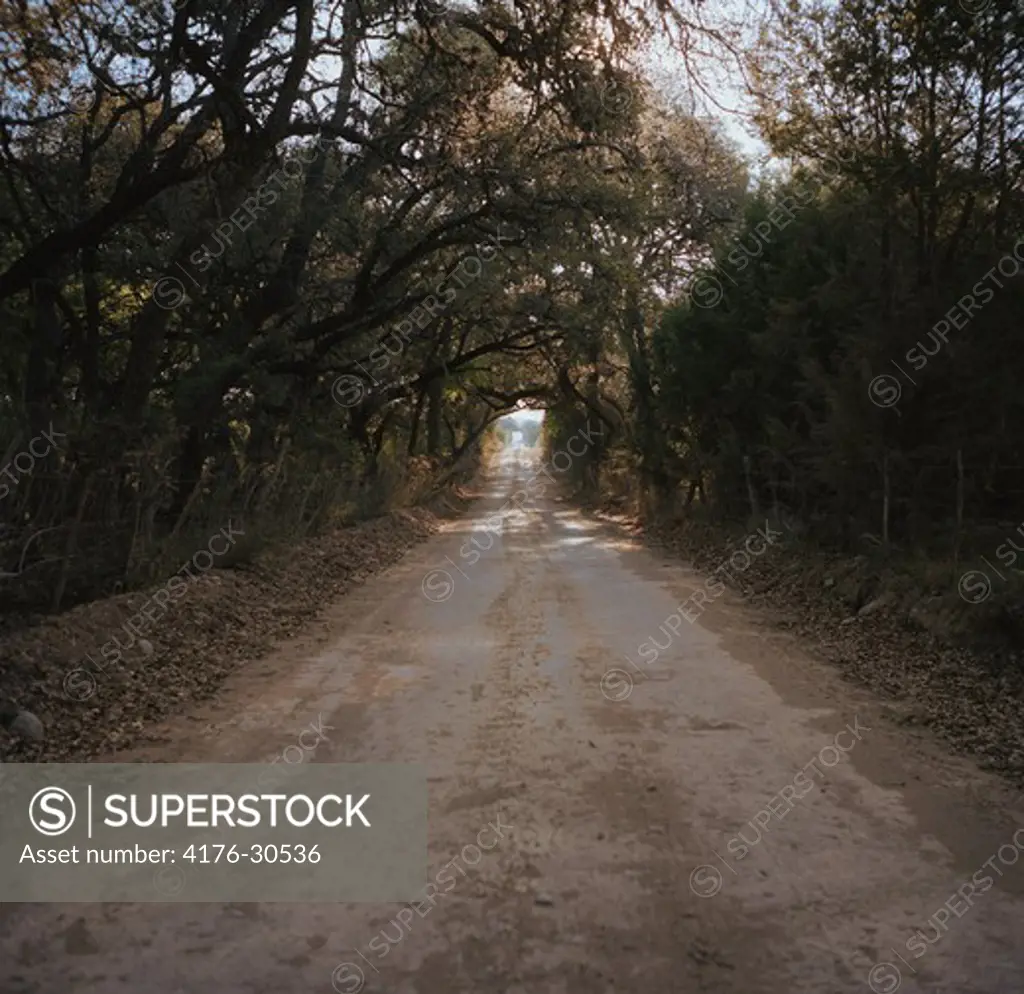 A dirt road in Texas. USA