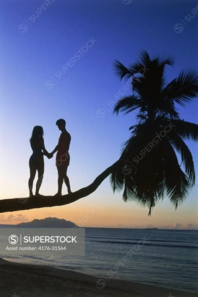 Couple standing on palm tree at sunset in Seychelles
