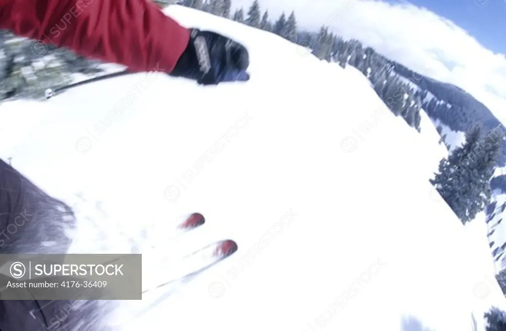Skier in Vail Back bowls. Colorado. USA