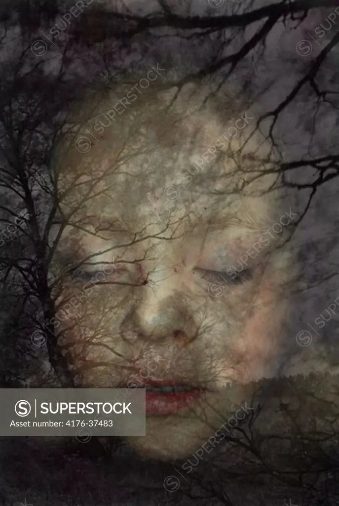 Childs face and tree branches