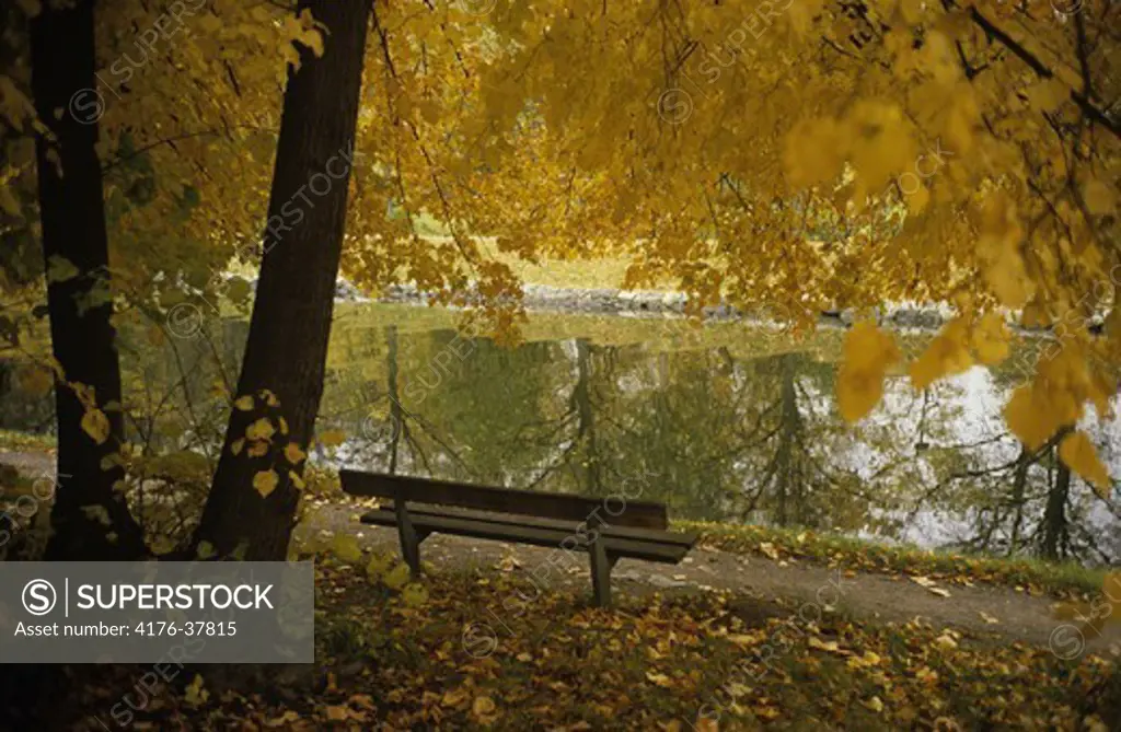 Bench by a lake in autumn, Stockholm, Sweden