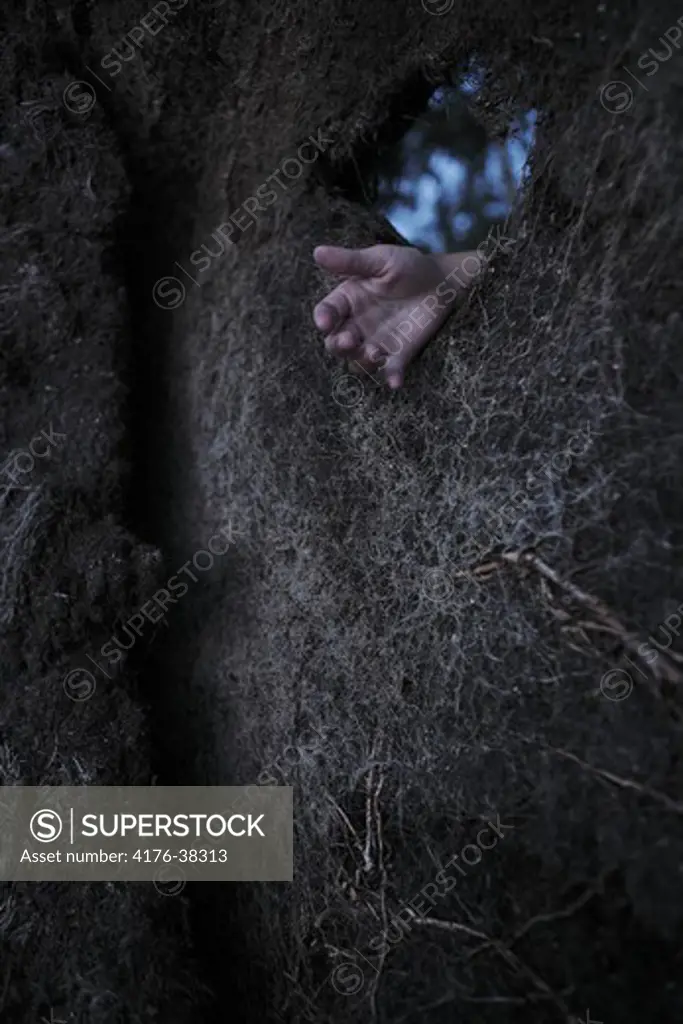 Human hand in a hole, Sweden