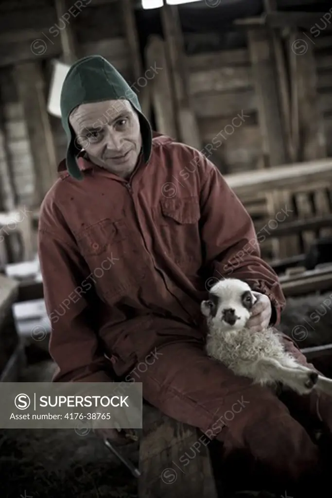 Portrait of a shepherd carrying a lamb, Iceland
