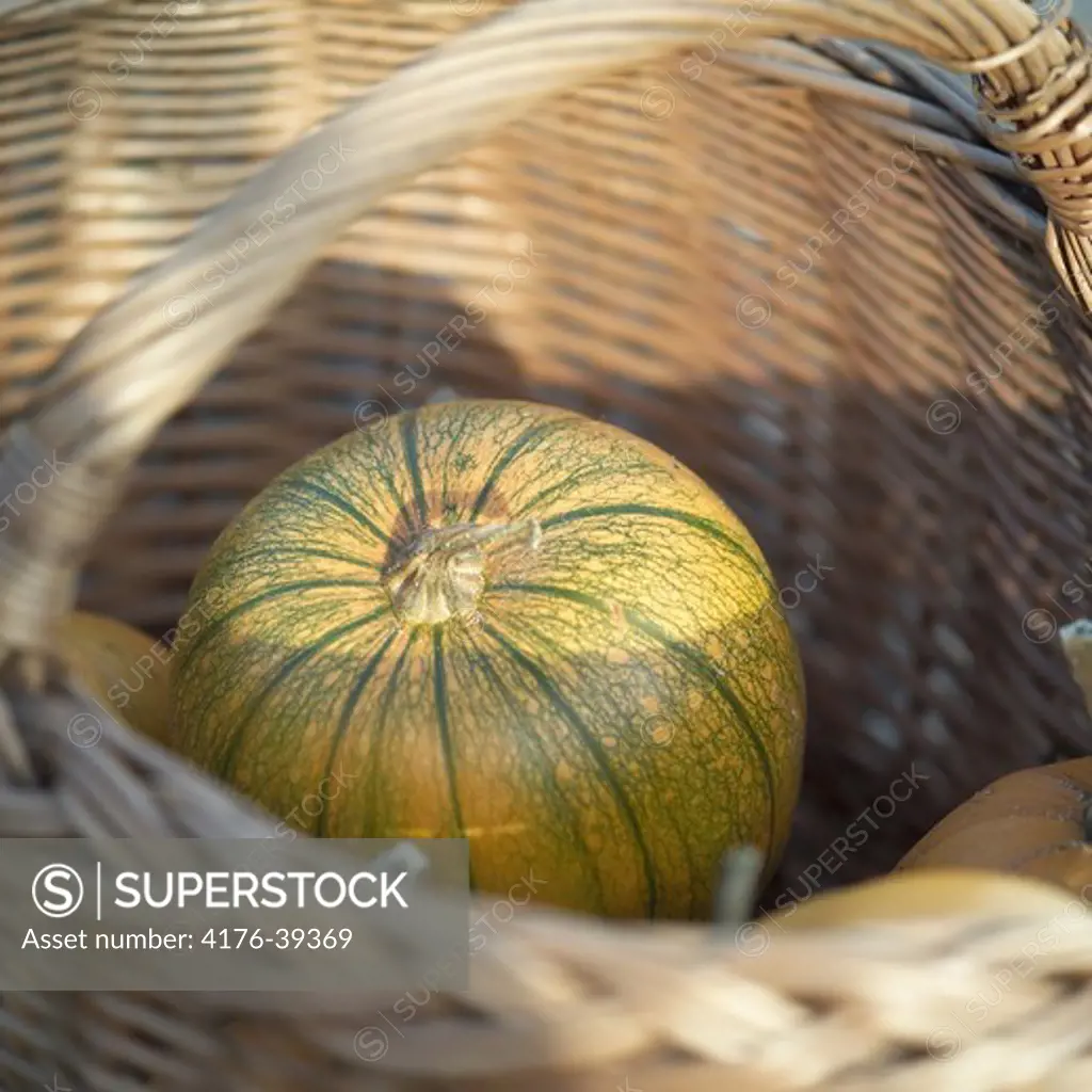 Pumpkin in wicker basket