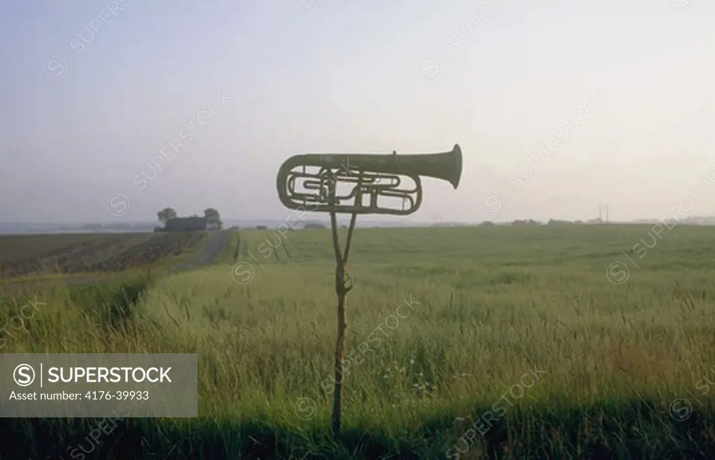 A trumpet in a field