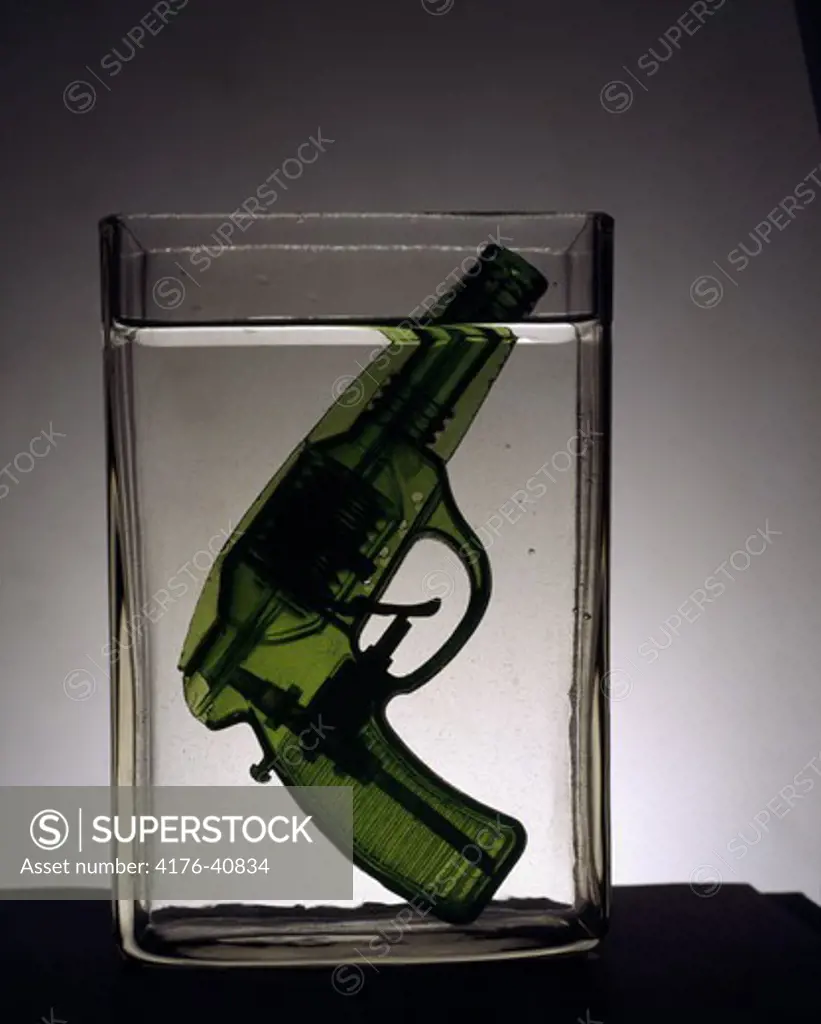 A water pistol in a water bowl
