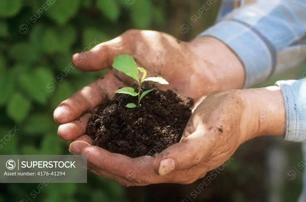 closeup of hands holding a plant