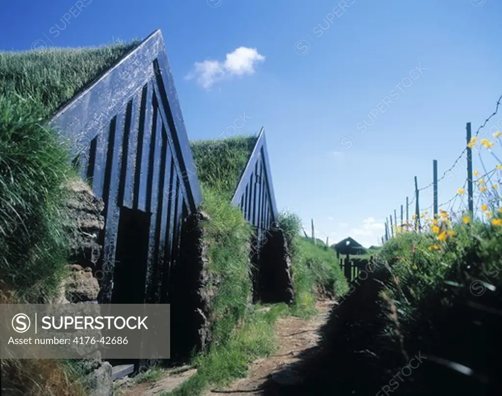 A turf house on a sunny day