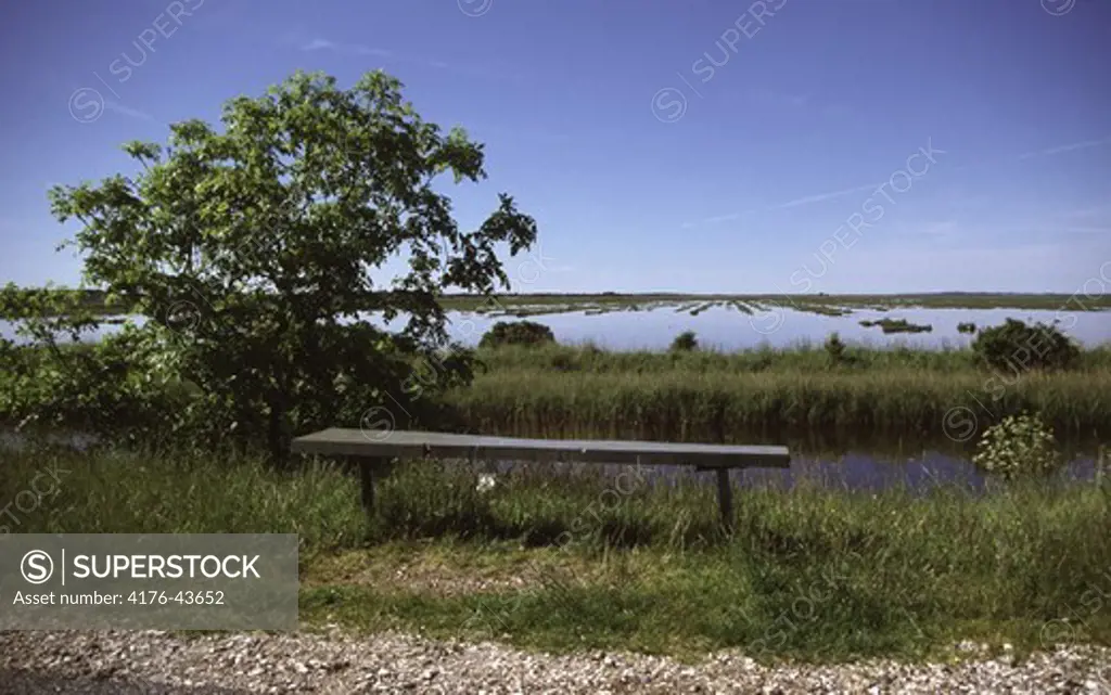 A bench standing next to a gravel road, a lake in t