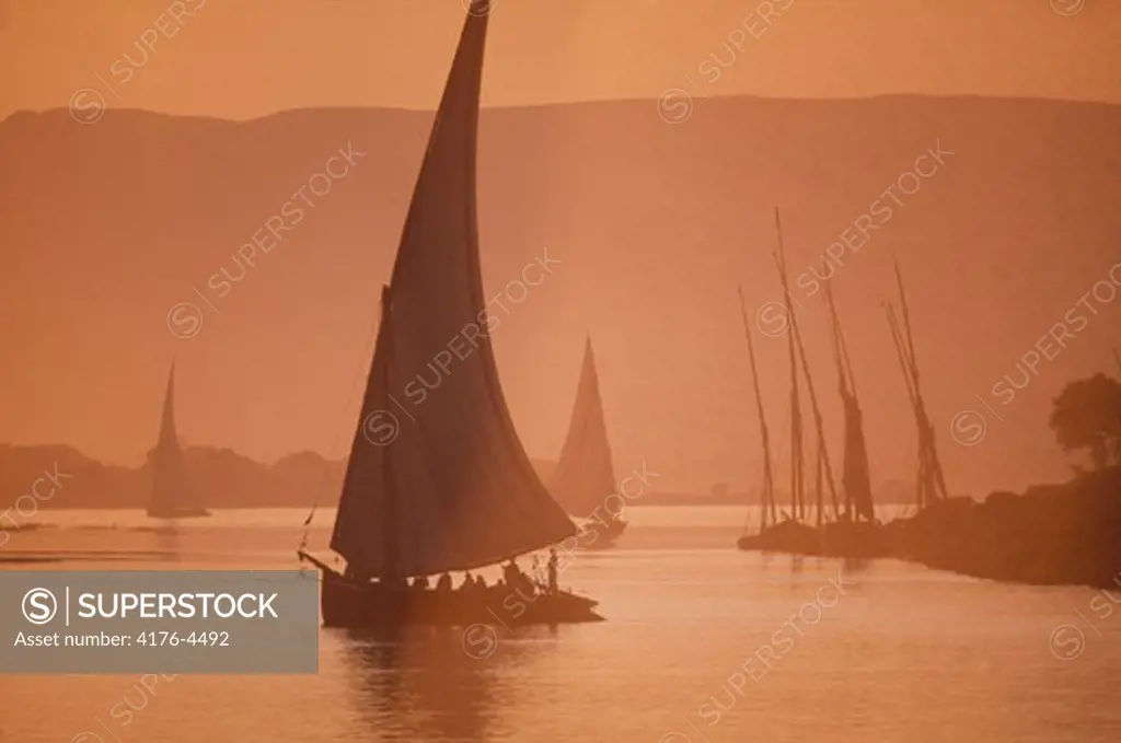 Silhouette of sailboats in the river, Egypt