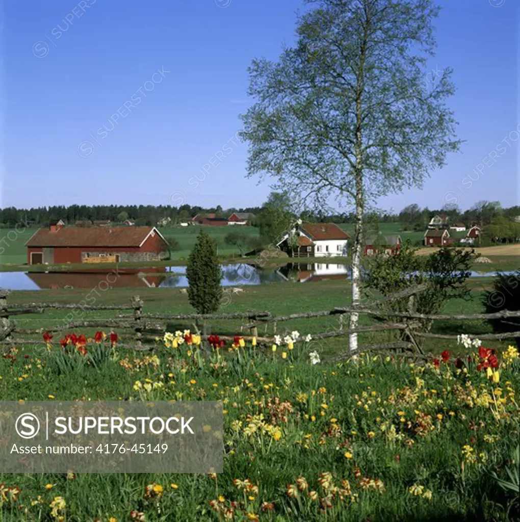 Farmerlandskap in spring ,Baltorp,Vastergotland, Sweden.