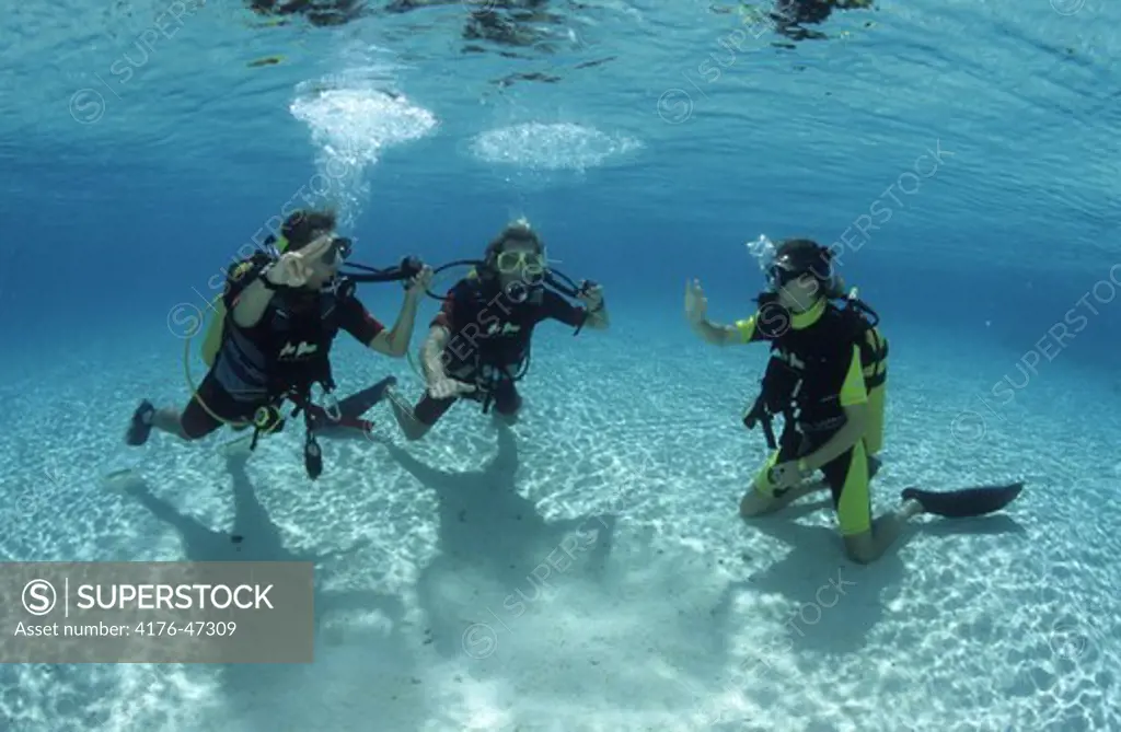 Divers navigating underwater