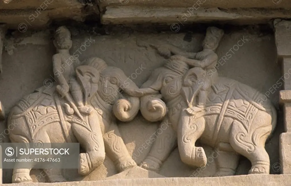 Stonecarvings of elephants fighting at the Khajuraho temples, India