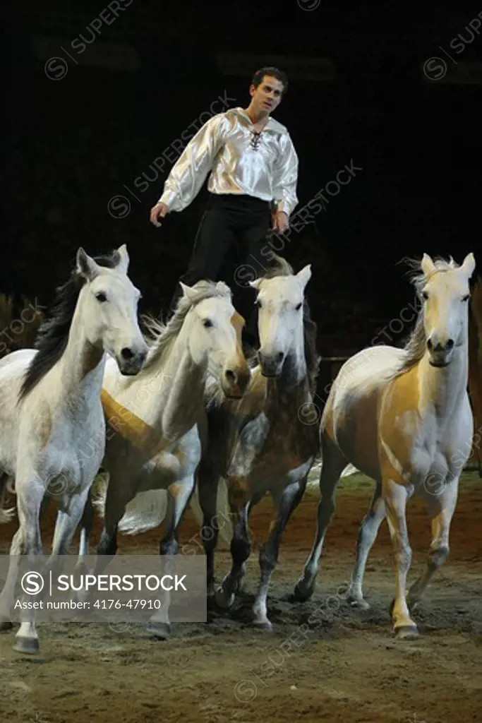 Lorenzo med Lusitanos Globen Horse Show 05
