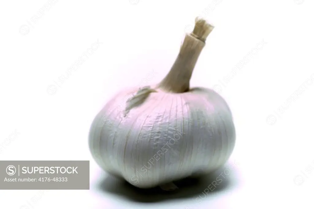 A garlic