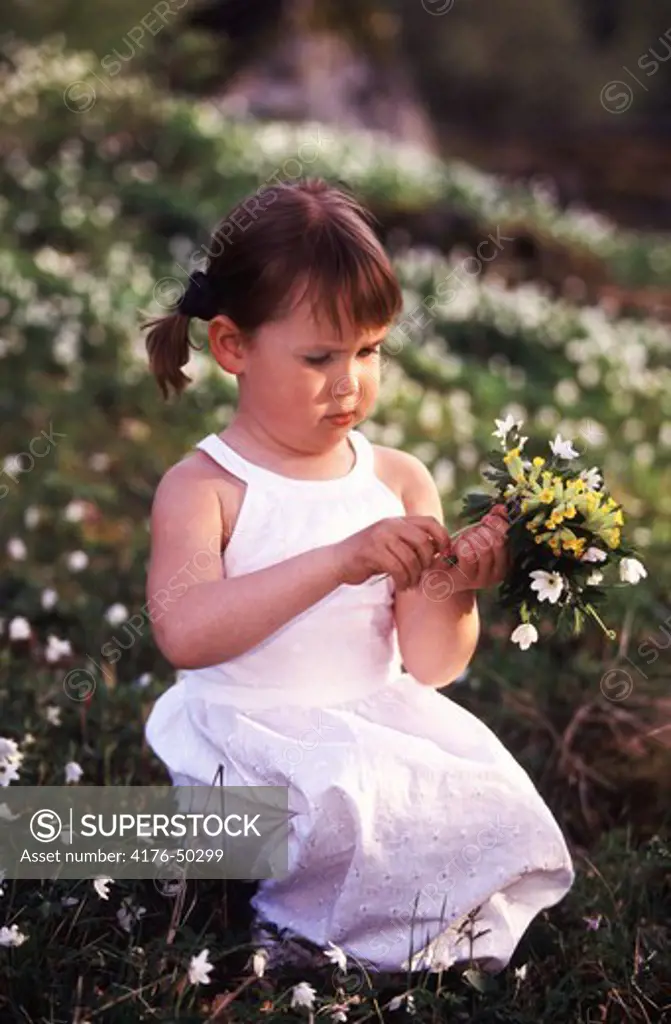 Little girl picking flowers,wearing a white dress.Näshulta,Sweden
