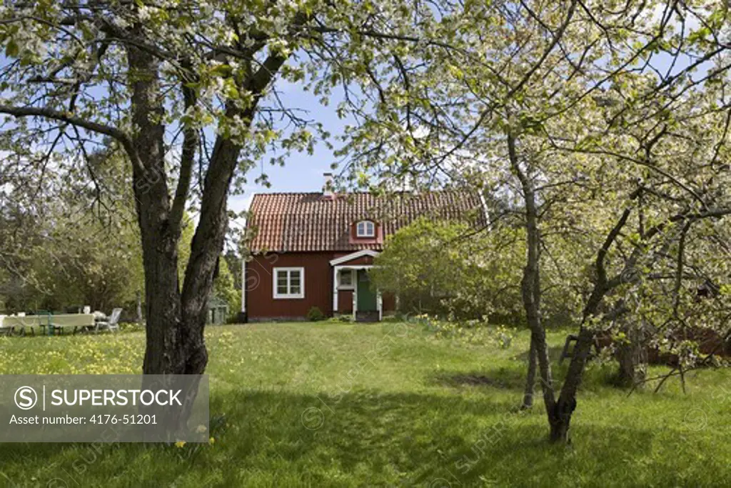 An old red house in a summergarden, Gåsä, Stockholm