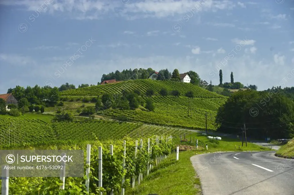 Scenic wine route, with wineyards, Southern Styria, Austria