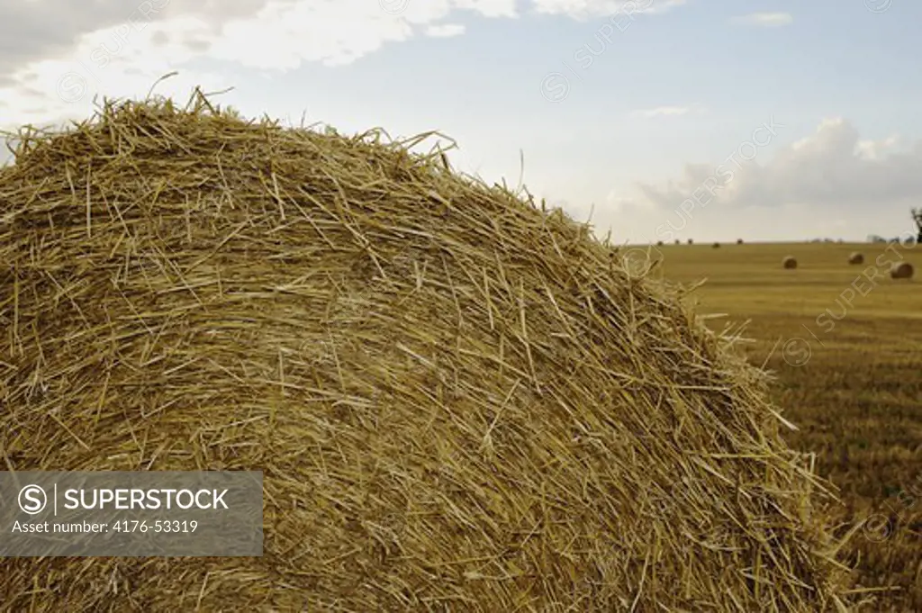 A part of a hay bale on a field in Skane (Skåne) Sweden