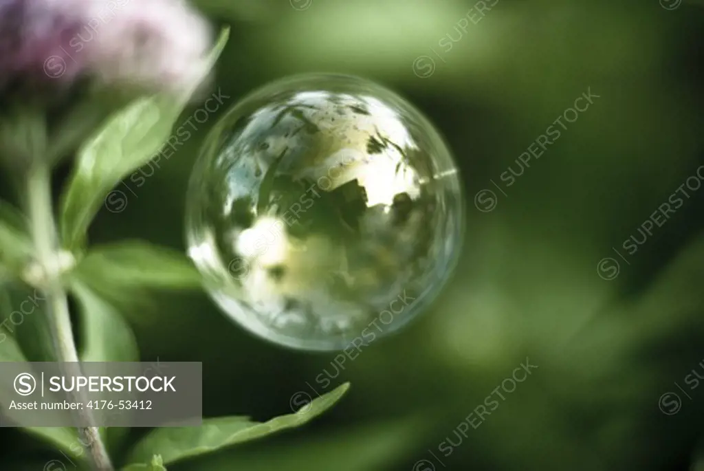 A soapbubble in a garden, in Sweden