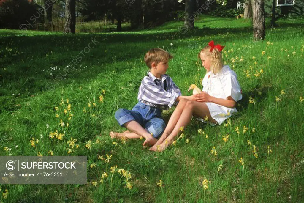 Boy and girl playing with baby duck in summer