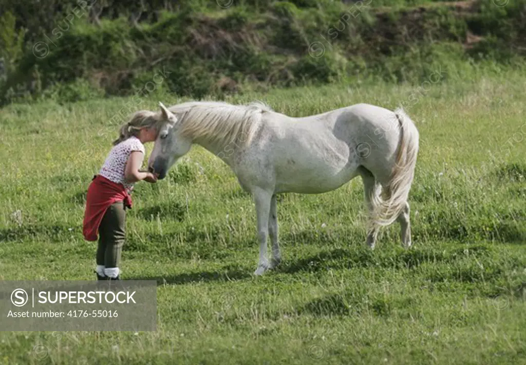 Flicka med hästen Dream i sommarhage