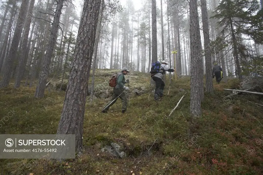 People hiking in the forest. Jämtland, Sweden