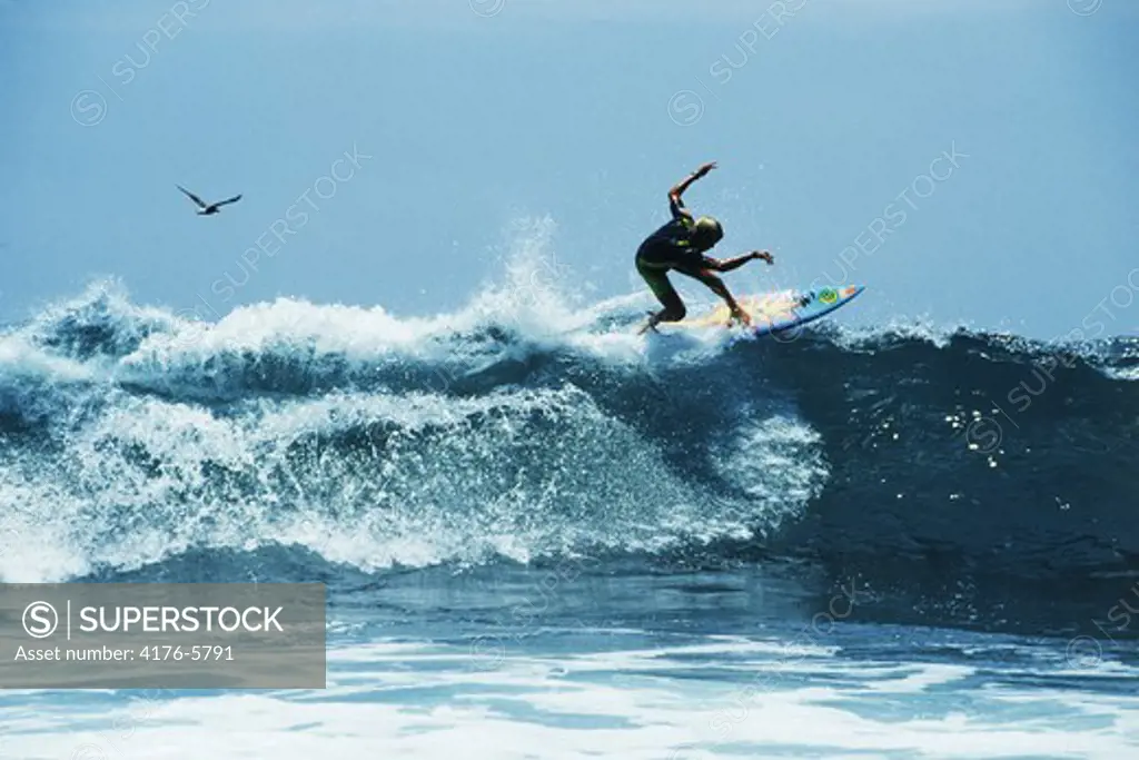 Surfer on the ledge or edge of wave in California