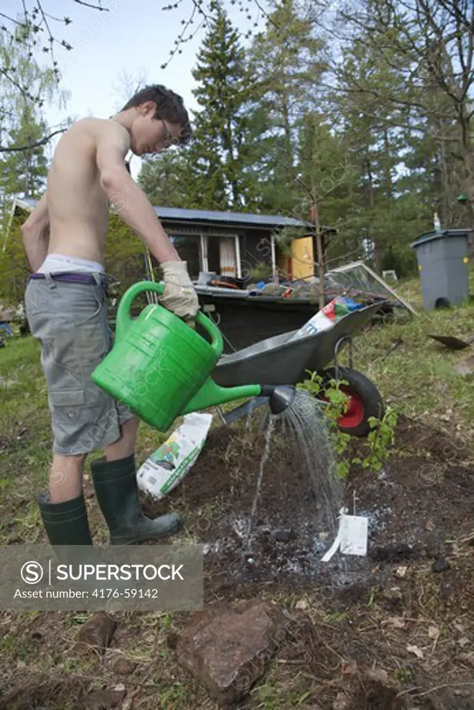 Plantering av vinbärsbuske,fritidshuset Skärmaräng