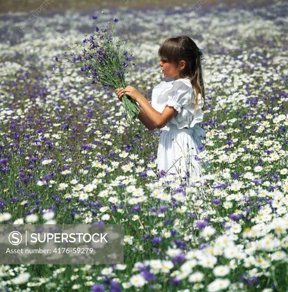 A girl in the middle of flowerfield picking flowers
