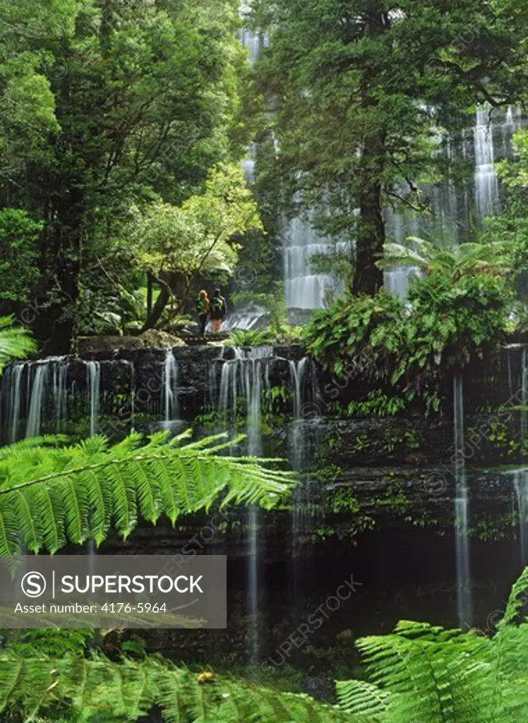 Russell Falls and Creek in Tasmania rainforest