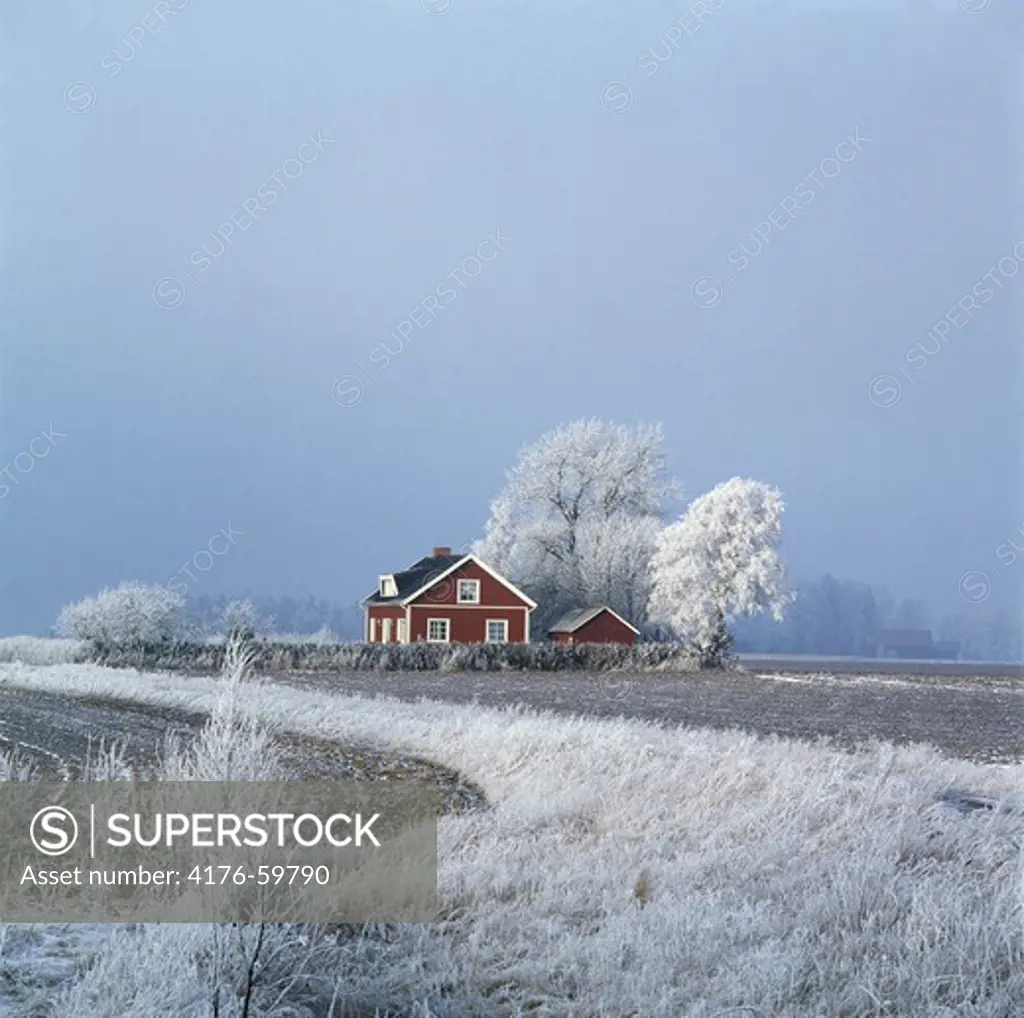 A red house in winter landscape, Sweden