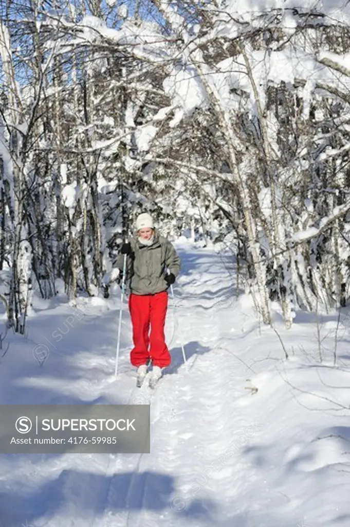 Cross-country skiing, Dalarna, Sweden