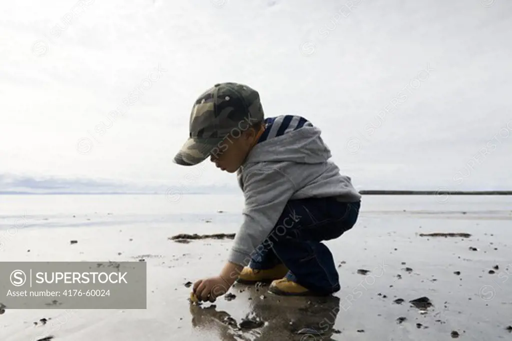 Boy picking rocks at the beach.  Akranes, Iceland.