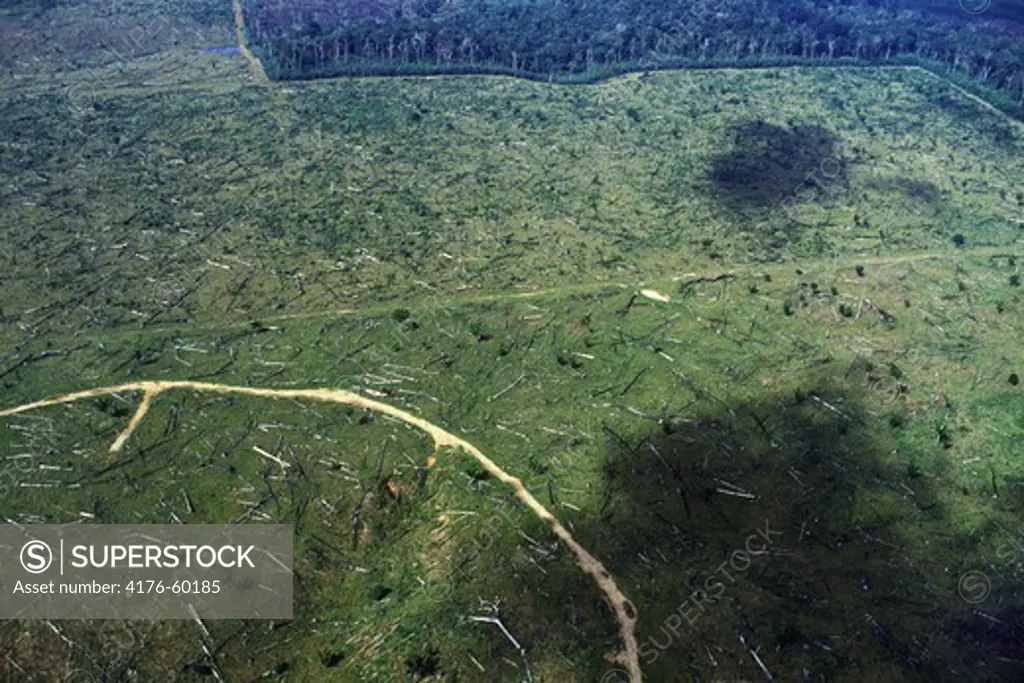 Aerial view of destroyed rain forest in Brazil near Amazon River