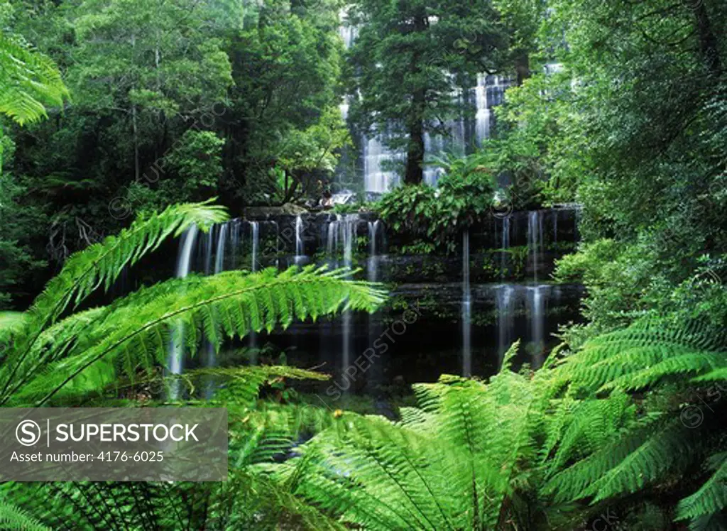 Russel Falls and Creek in Tasmania rainforest