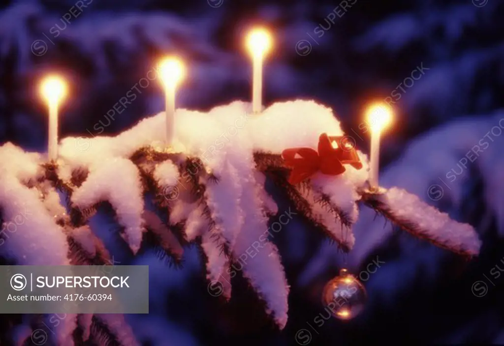 Four lighted candles on snowy Christmas tree branch, Sweden