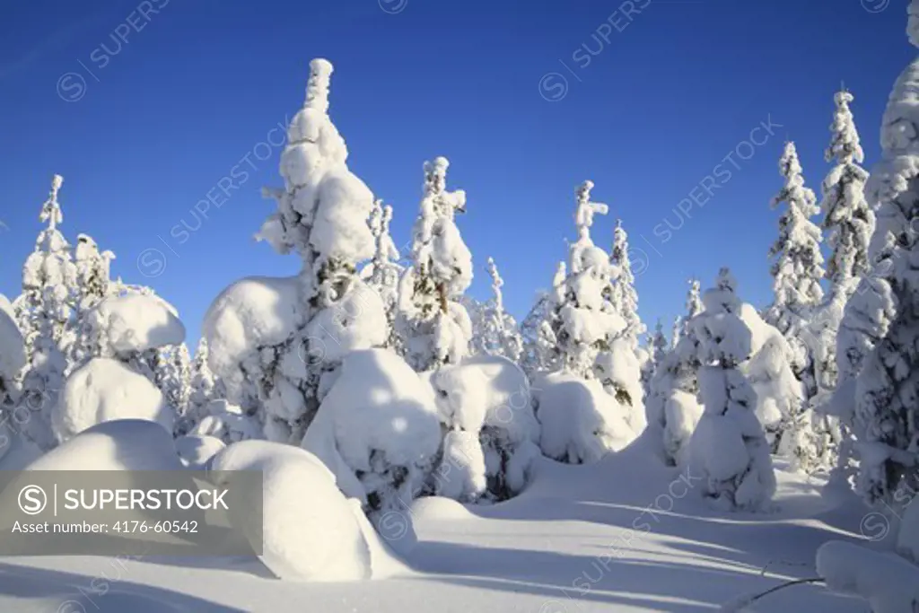 Beautiful winter landscape in Harsa, Halsingland, Sweden
