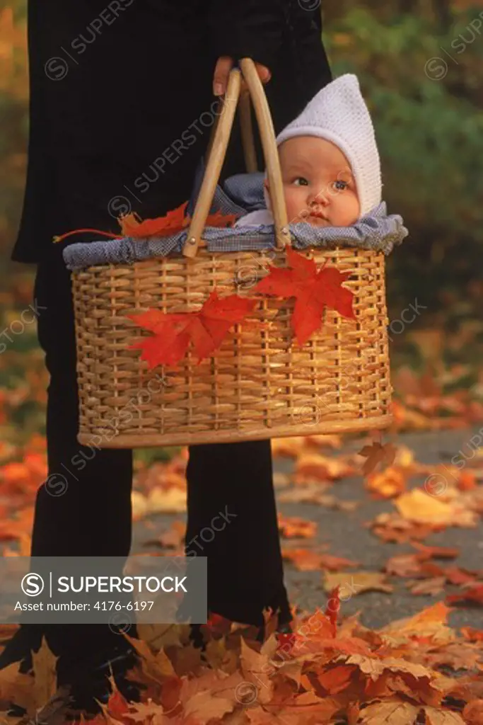 Mother taking baby in basket for autumn walk