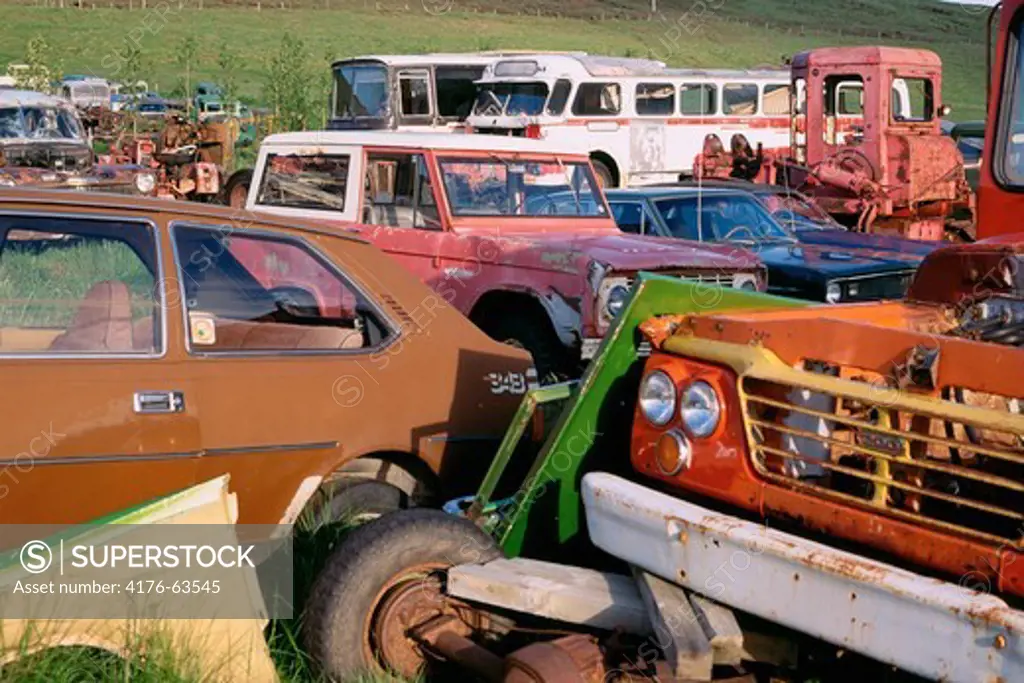 Cars, trucks, and buses sitting in a junkyard
