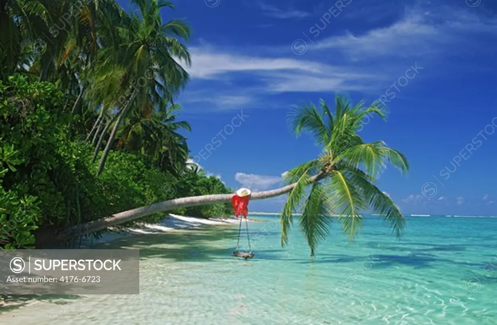 Palm tree with swing and hat over aqua waters in Maldives