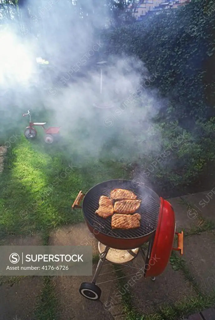 Steaks and smoke on backyard barbeque