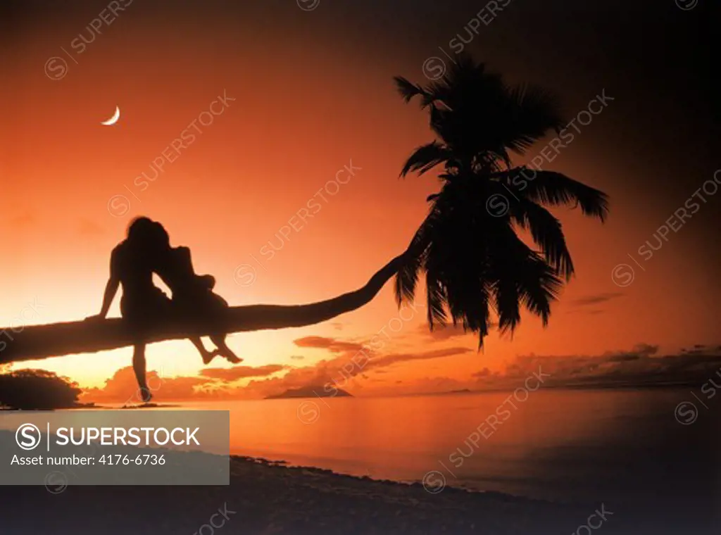 Couple on palm tree over beach at sunset