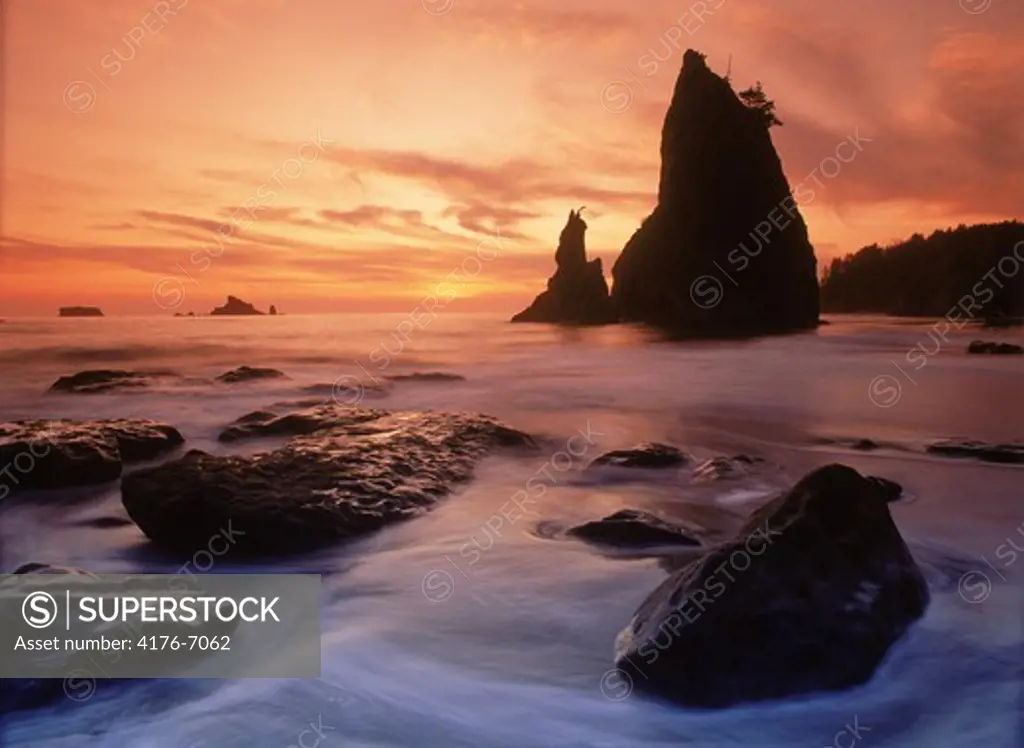 Sea stacks on Olympic Peninsula in Olympic National Park at sunset