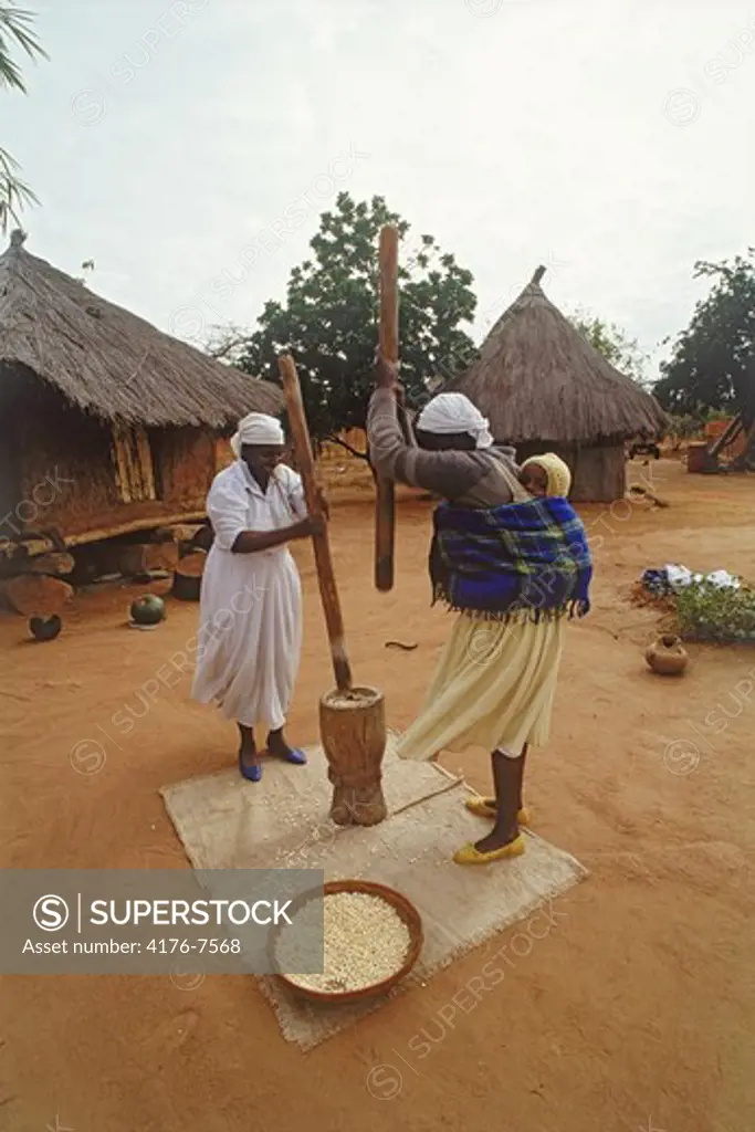Women pounding maize for cornbread in Zimbabwe village