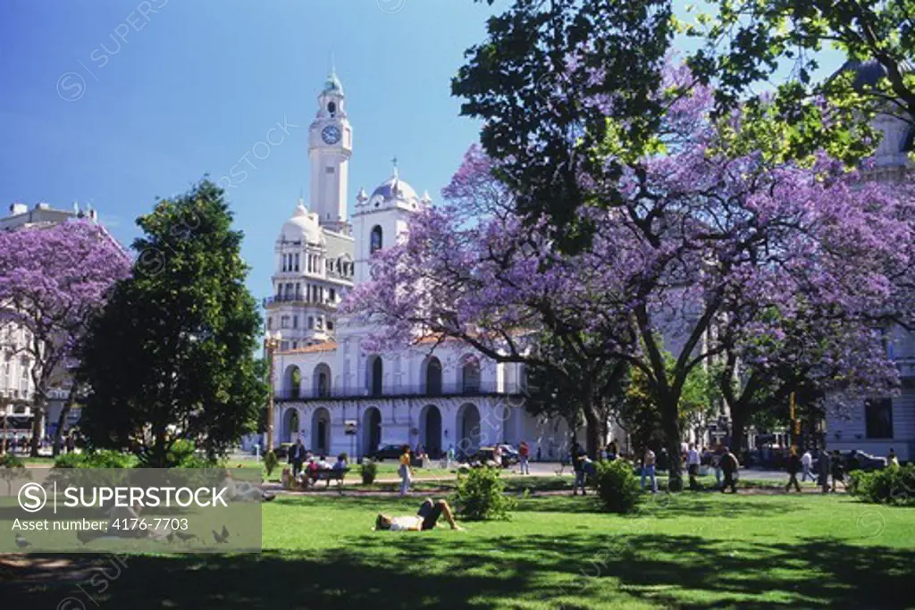 The Cabildo and Clock Tower at Plaza de Mayo with jacaranda trees in Buenos Aires