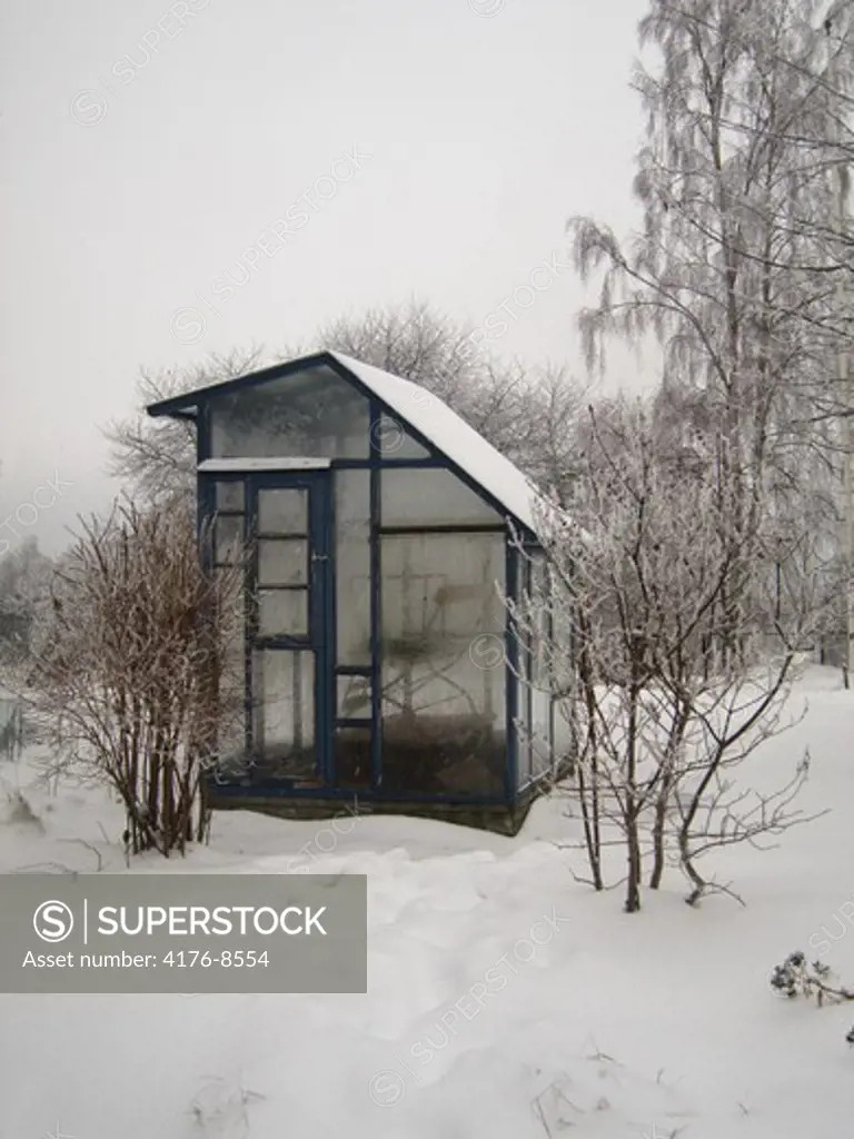 A greenhouse in a snowy garden. Sweden
